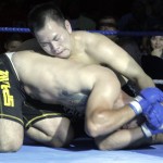 Mixed Martial Arts Gained Legal Status in NY