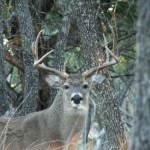 Hunting Season in Oregon Start