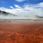 Yellowstone National Park as Perfect Place for Camping