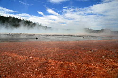 Camping tips yellowstone park