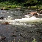 Camping in Arkansas Can Be Unforgettable  