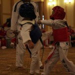 Effects of Mixed Martial Arts environment on the Youth